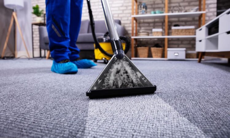 Professional Carpet Cleaning