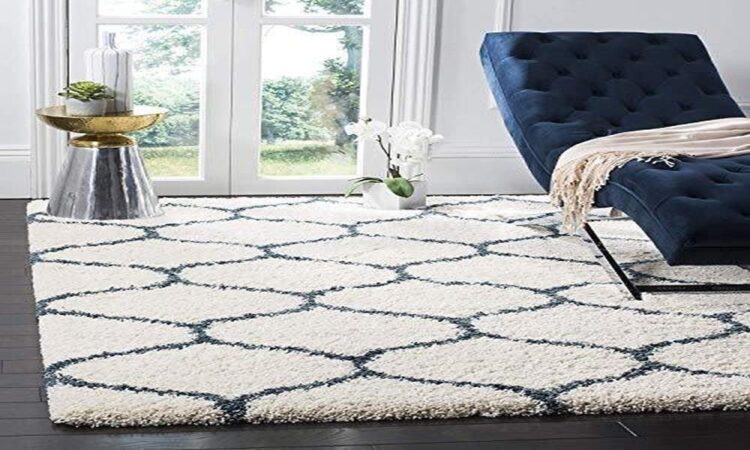 Shaggy rugs to Add Texture and Warmth