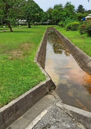 Solve Common Yard Drainage Issues