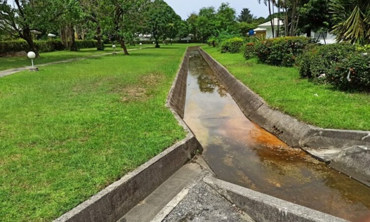 Solve Common Yard Drainage Issues